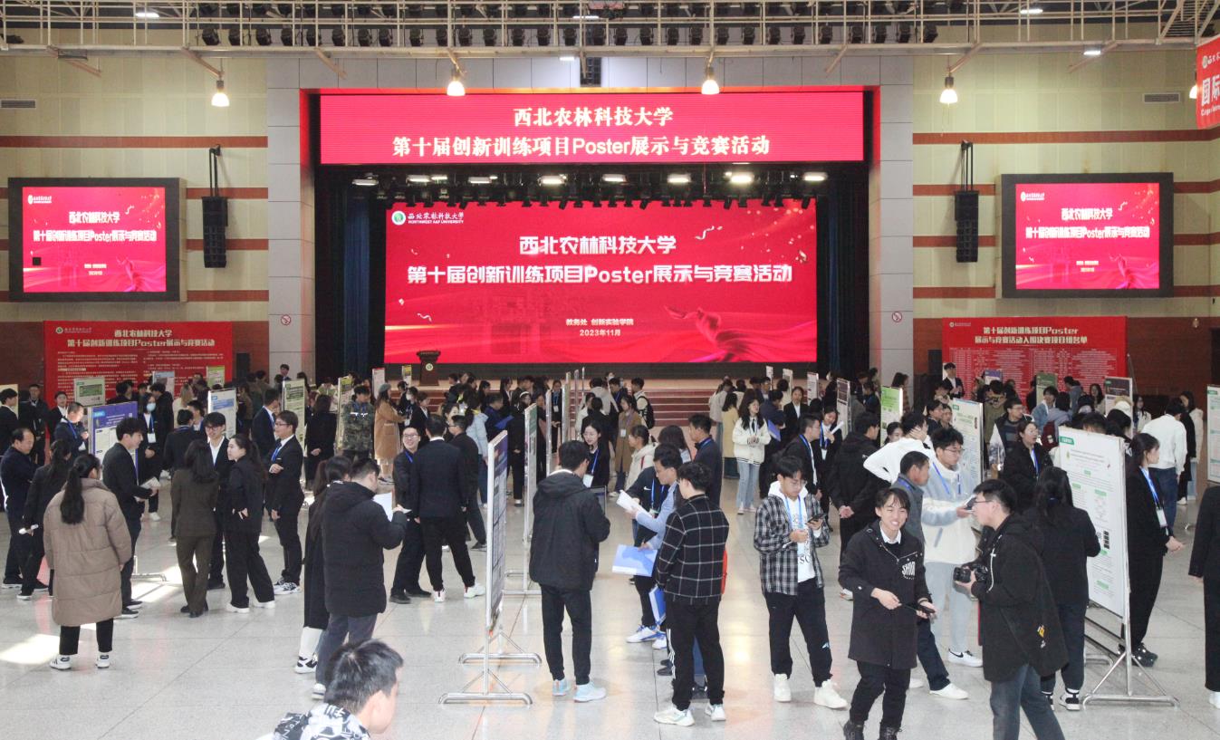 新葡的京集团8814第十届创新训练项目Poster展示与竞赛活动决赛现场.jpg