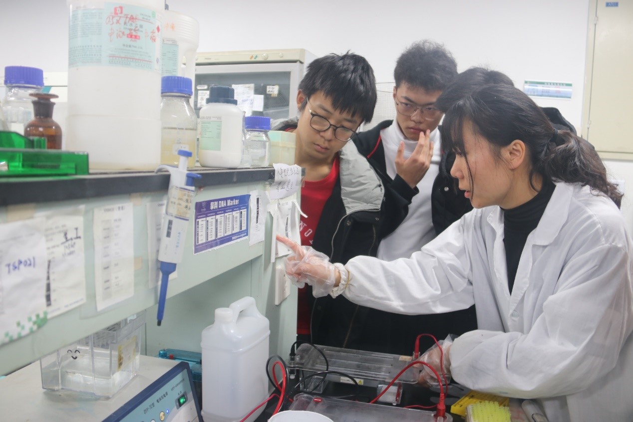实验室研究生讲解实验内容2