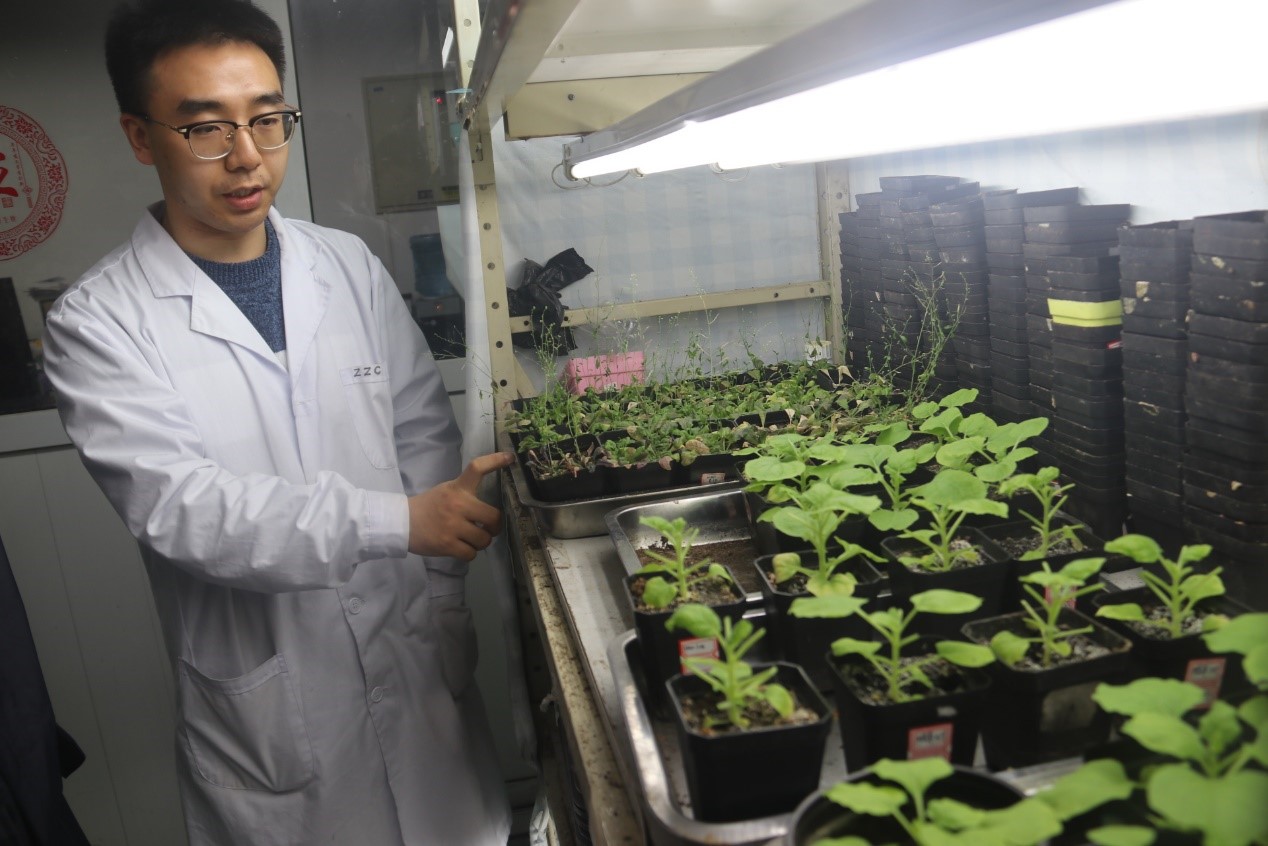 参观植物培养室