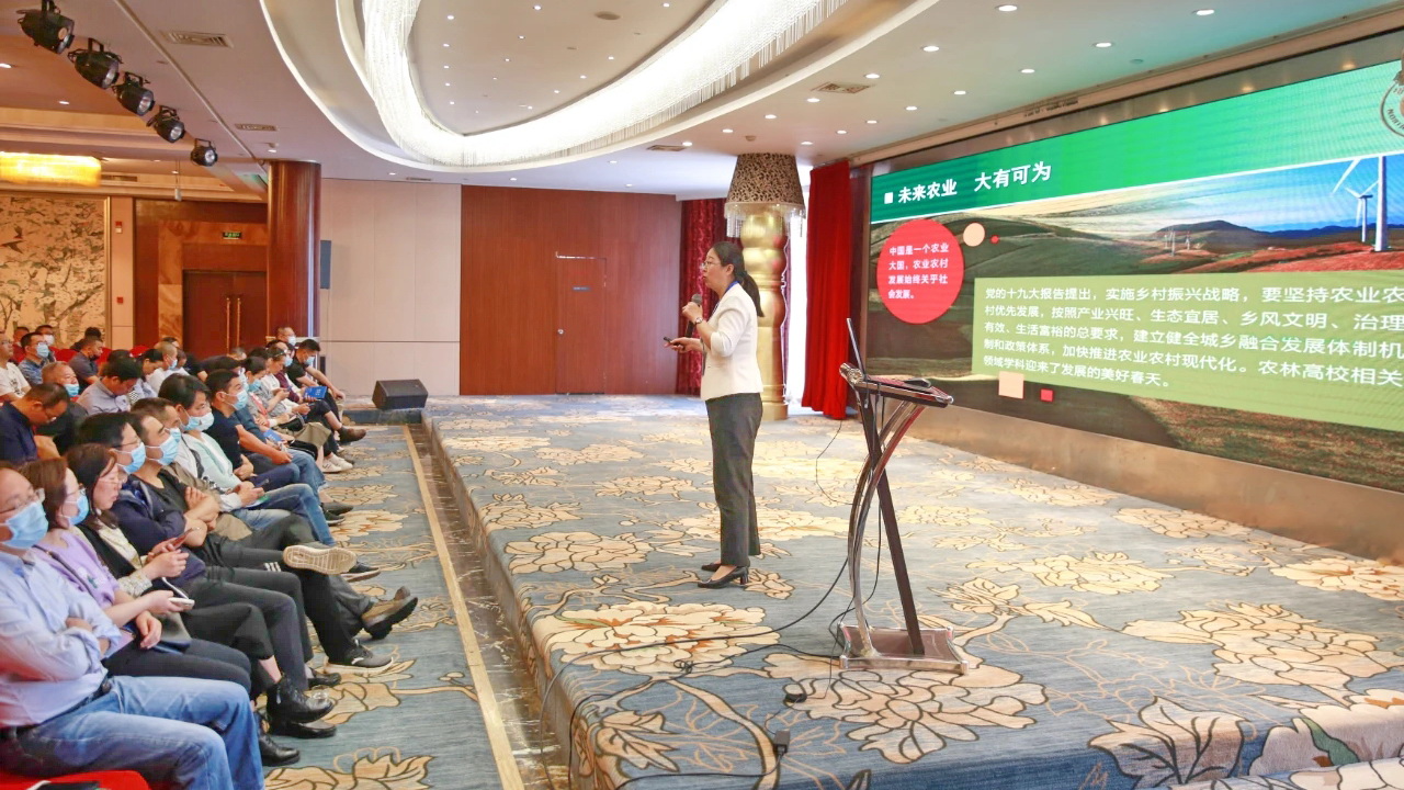做报告