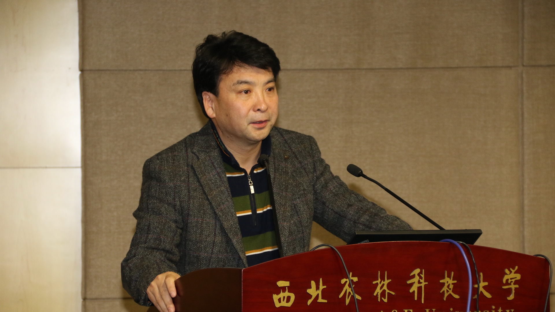 教学发展中心主任陈遇春讲话