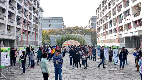 展示交流现场