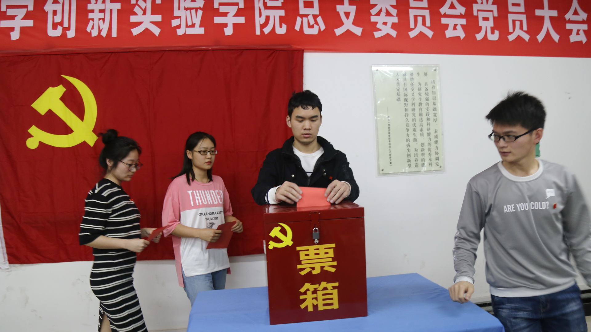 党员投票
