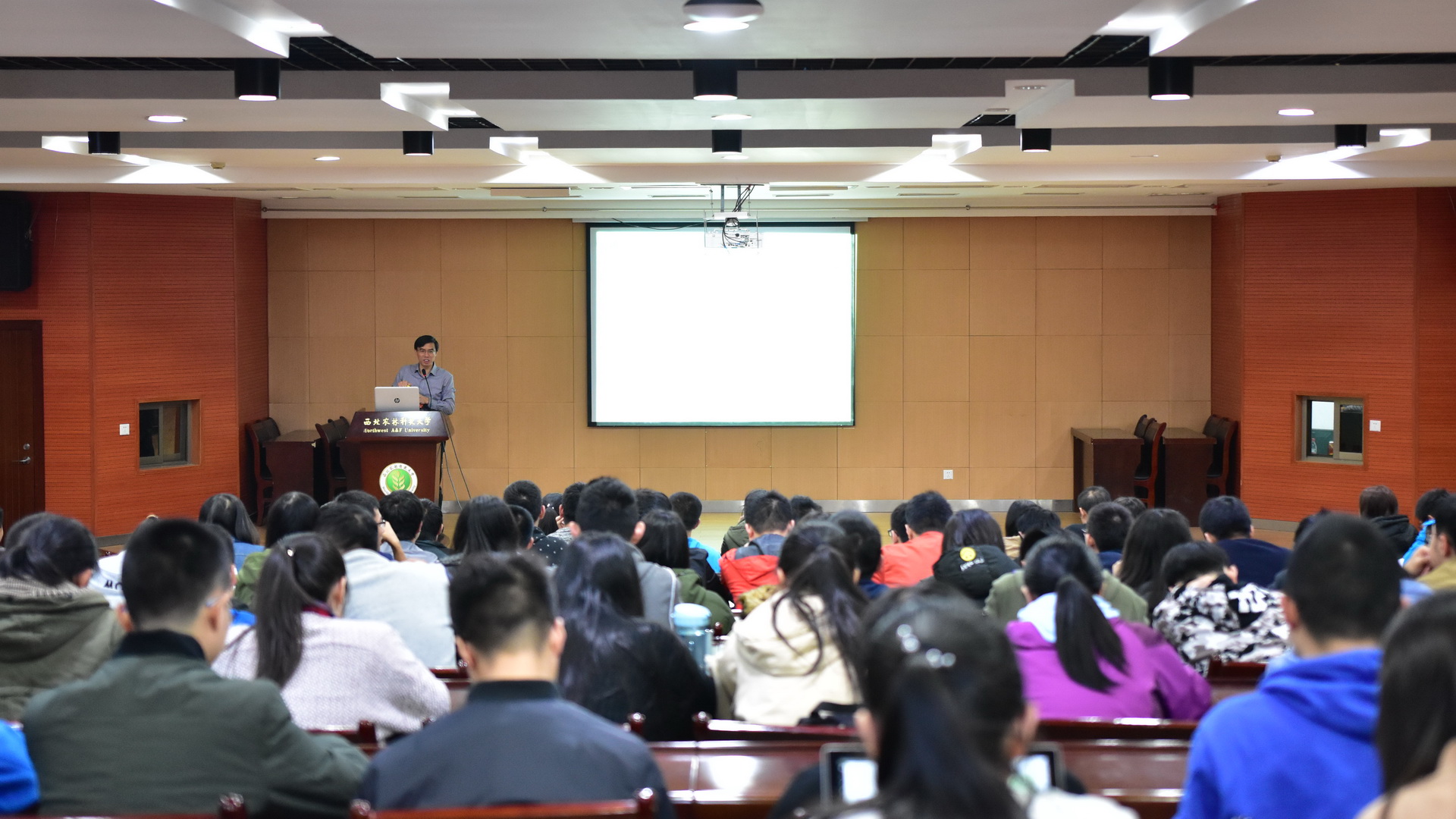 报告会现场